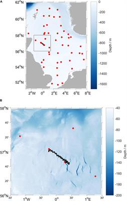 Air-Sea Gas Fluxes and Remineralization From a Novel Combination of pH and O2 Sensors on a Glider